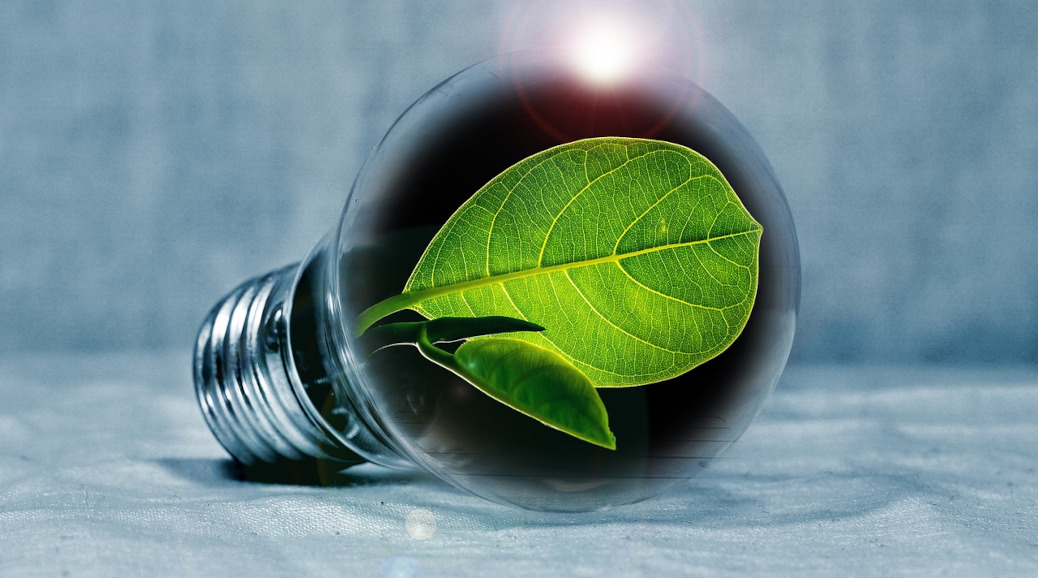 Energie-Autarkie ist unser Ziel – Windkraft im Wersauer Wald lehnen wir ab